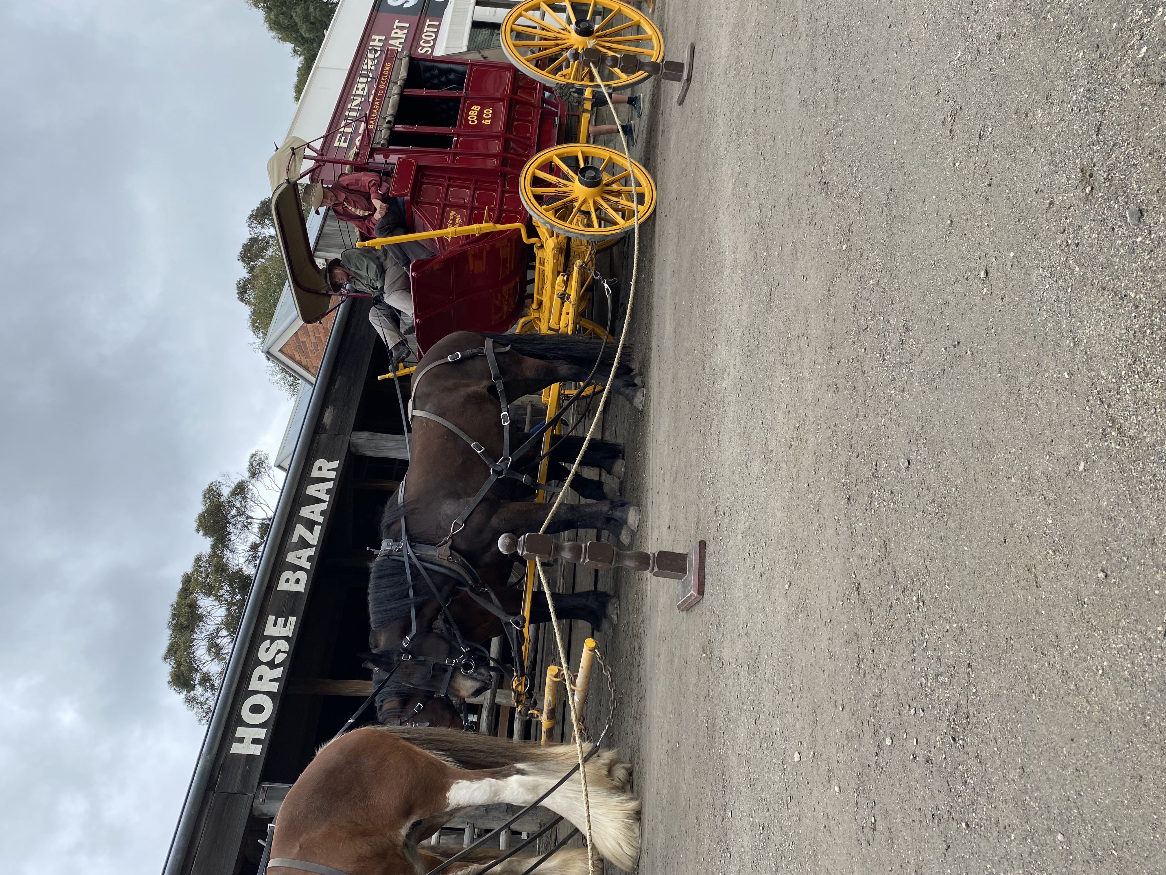 A Small Local Primary School in Bundoora
